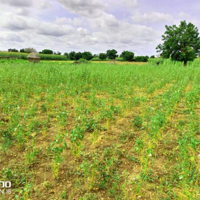 Whatsapp Image 2022 11 23 At 17.00.43