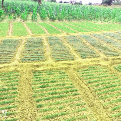 Whatsapp Image 2022 11 23 At 17.00.45