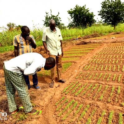 Whatsapp Image 2022 11 23 At 17.00.48